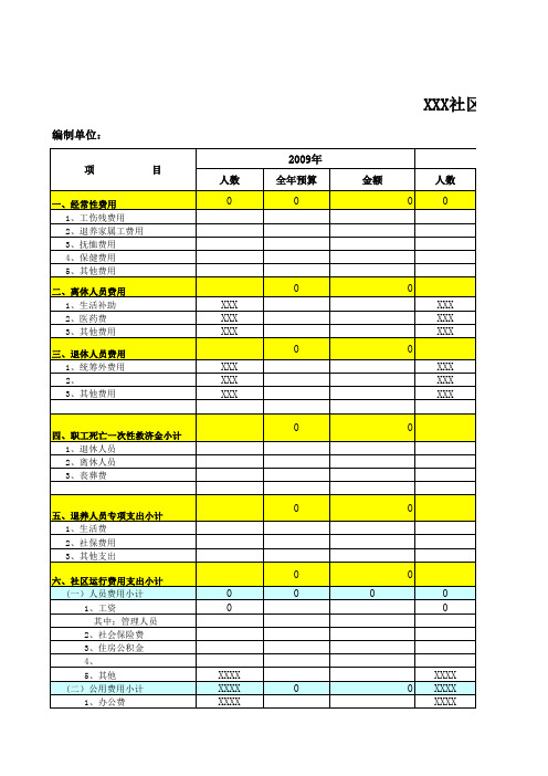 社区经费支出明细表