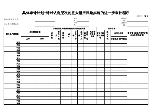 审计工作底稿-8  风险评估底稿