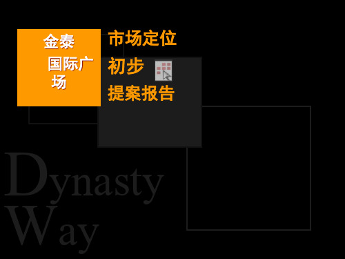 市场定位初步提案分析报告.pptx