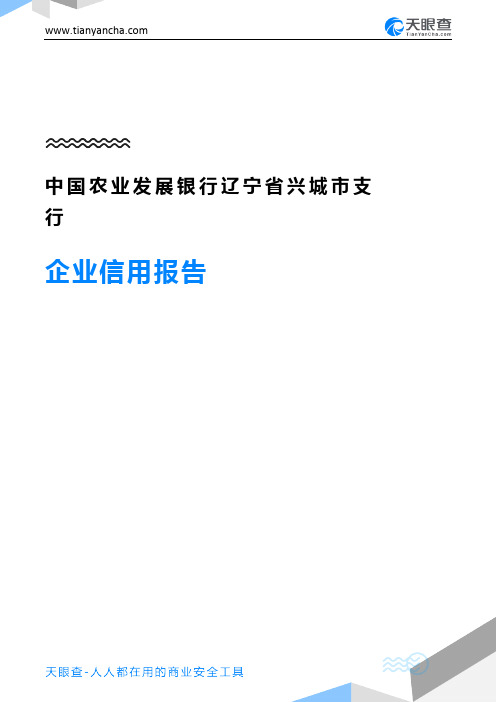 中国农业发展银行辽宁省兴城市支行企业信用报告-天眼查