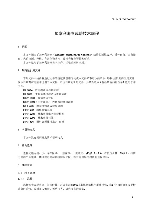 加拿利海枣栽培技术规程