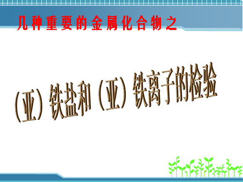铁盐和铁离子的检验