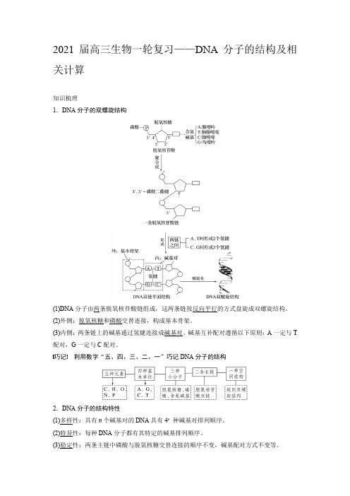 2021届高三生物一轮复习——DNA分子的结构及相关计算