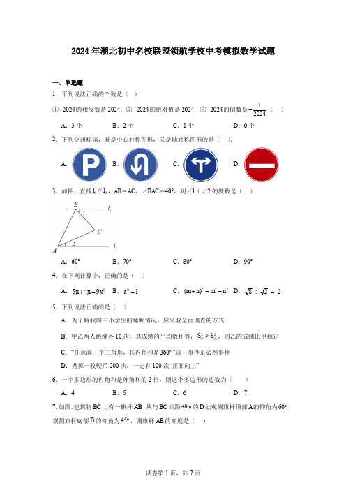 2024年湖北初中名校联盟领航学校中考模拟数学试题