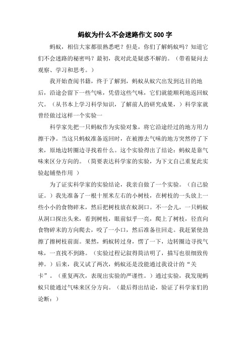 蚂蚁为什么不会迷路作文500字