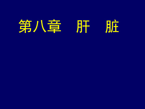 超声诊断学肝脏PPT课件