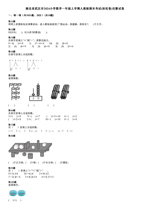 湖北省武汉市2024小学数学一年级上学期人教版期末考试(培优卷)完整试卷