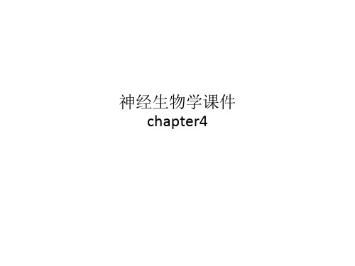 神经生物学课件chapter4