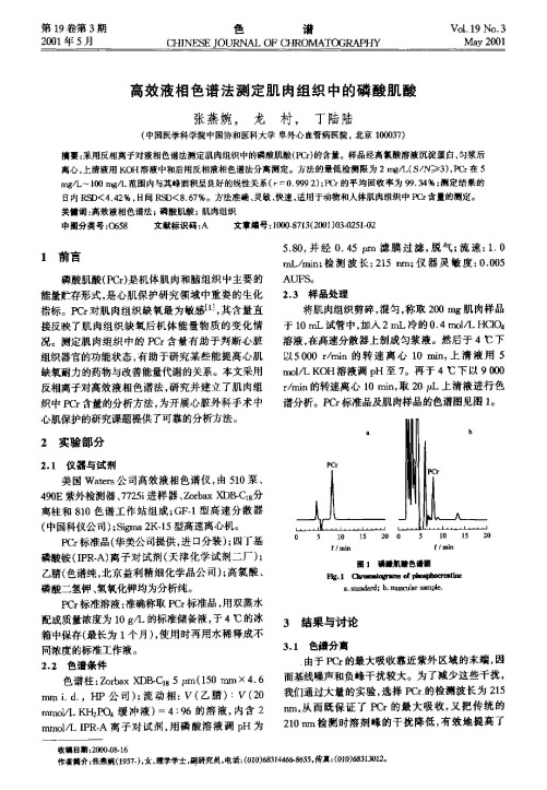 高效液相色谱法测定肌肉组织中的磷酸肌酸