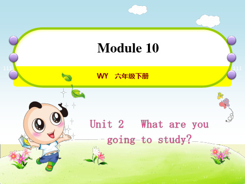 外研小学英语六年级下册Module10Unit2-What-are-you-going-to-stu