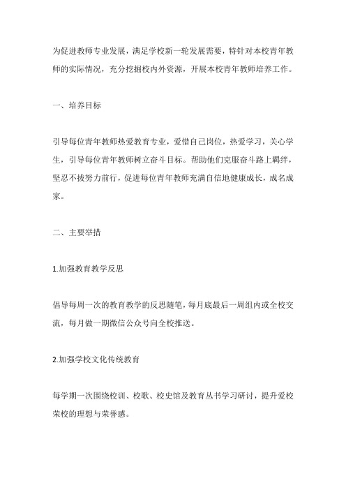 高级中学青年教师培养方案