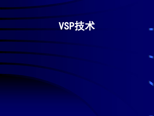 VSP技术的发展与应用-闫总