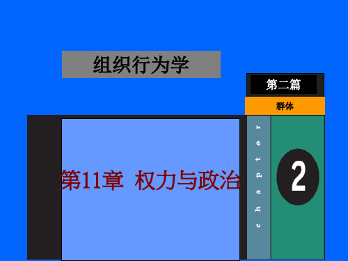第11章  权力与政治