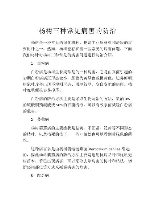 杨树三种常见病害的防治