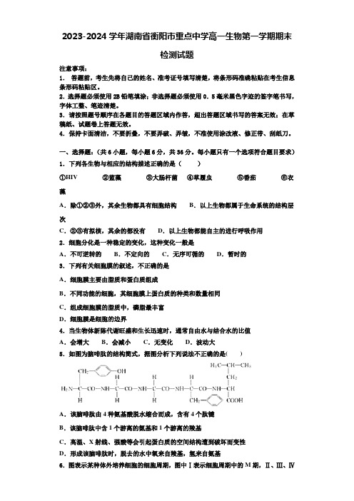 2023-2024学年湖南省衡阳市重点中学高一生物第一学期期末检测试题含解析