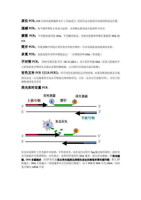 各种PCR简介