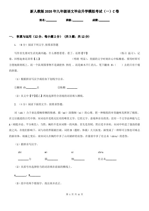 新人教版2020年九年级语文毕业升学模拟考试(一)C卷