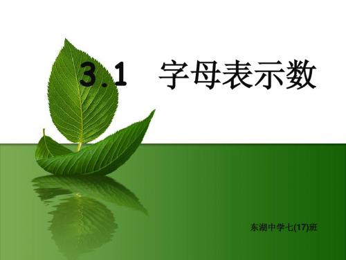 北师大版七年级数学上册字母表示数