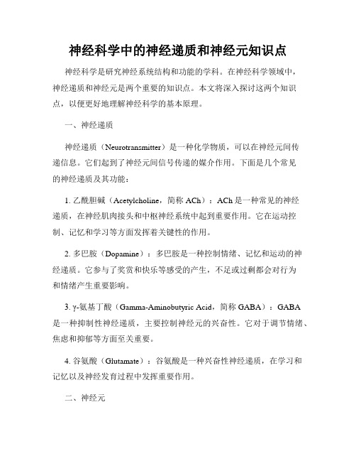 神经科学中的神经递质和神经元知识点