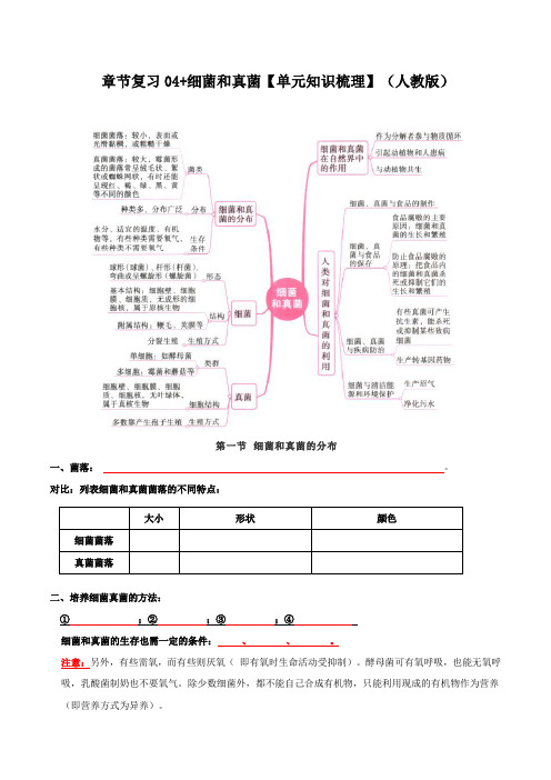 章节复习04 细菌和真菌(知识梳理)-【高效复习】2023-2024学年八年级生物上册复习(原卷版