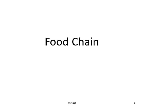 食物链_英文版_Food_chainppt课件