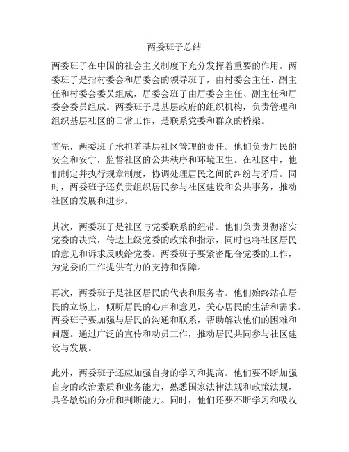 两委班子总结