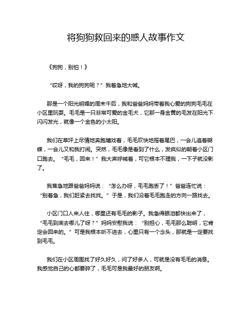 将狗狗救回来的感人故事作文