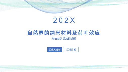 自然界的纳米材料及荷叶效应