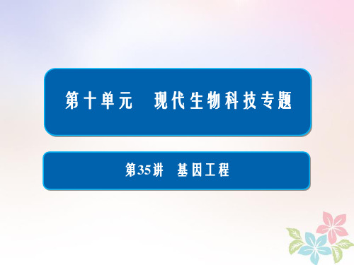 全国2019版版高考生物一轮复习第35讲基因工程课件