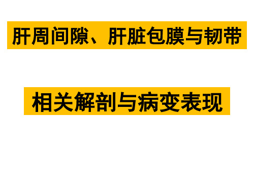 【医学PPT课件】肝周间隙解剖与临床意义PPT