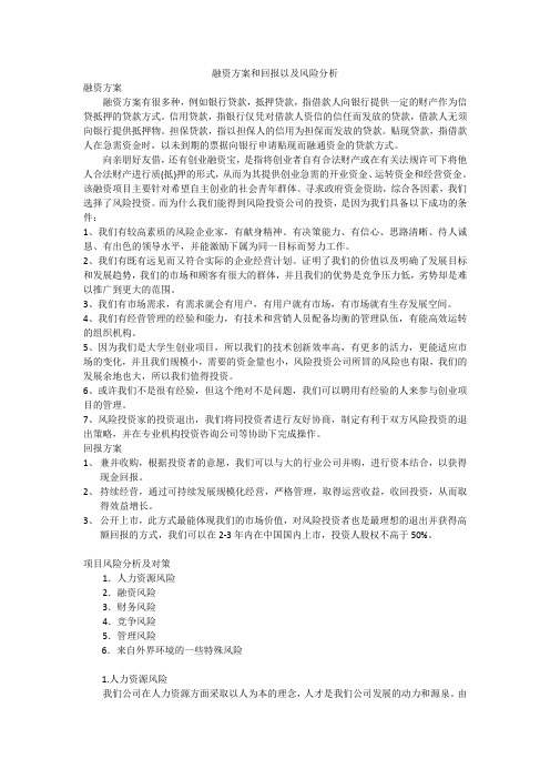 融资方案和回报以及风险分析