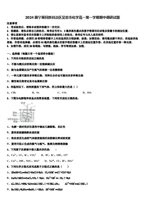 2024届宁夏回族自治区吴忠市化学高一第一学期期中调研试题含解析