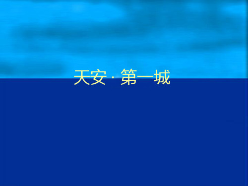 天安三期2005年广告整合提案