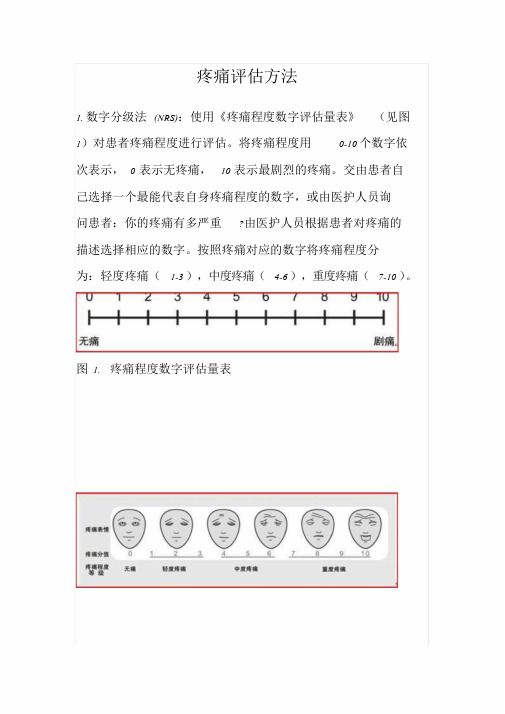 最新疼痛评估方法文件.doc