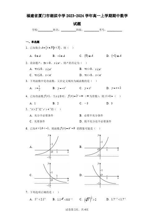 福建省厦门市湖滨中学2023-2024学年高一上学期期中数学试题