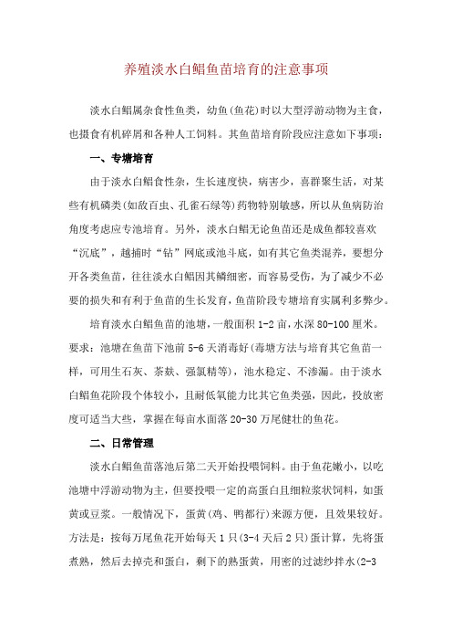 养殖淡水白鲳鱼苗培育的注意事项