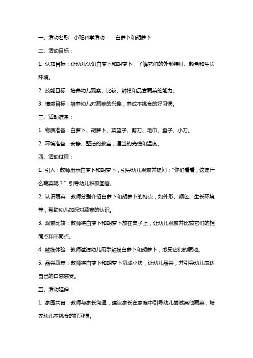 小班科学活动白萝卜和胡萝卜教案