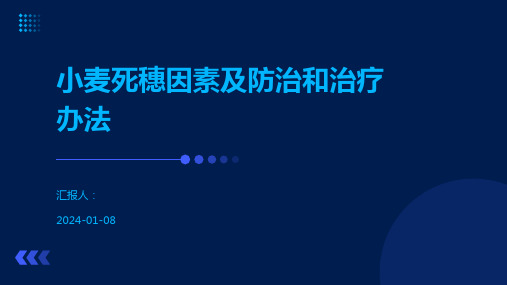 小麦死穗因素及防治和治疗办法