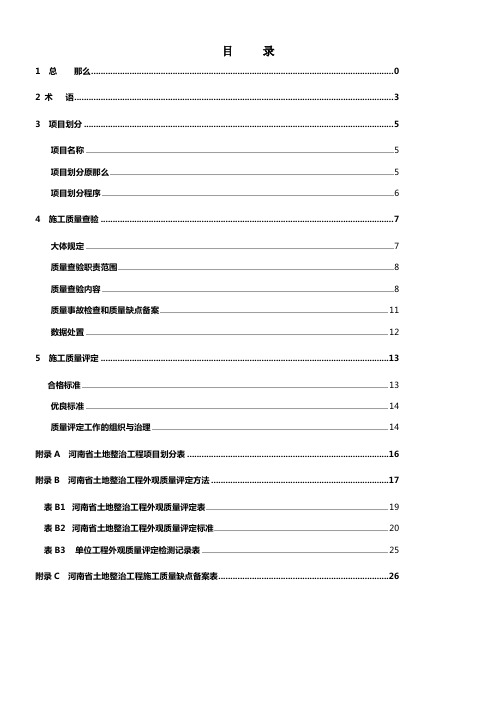 河南省土地平整项目查验与评定表格(最新版)