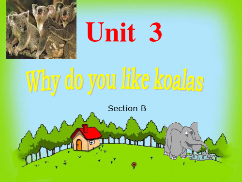 七年级英语上学期unit3 Why do you like koalas