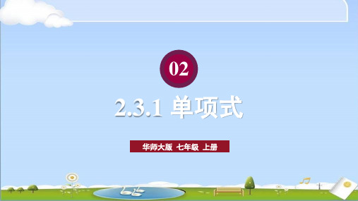 2024年秋新华师大版七年级上册数学教学课件 第2章 整式及其加减 2.3 整式 1.单项式