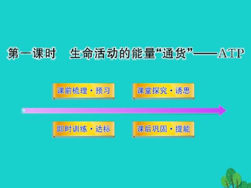 高中生物第四章光合作用和细胞呼吸4.1.1生命活动的能量“通货”——ATP课件苏教版必修1