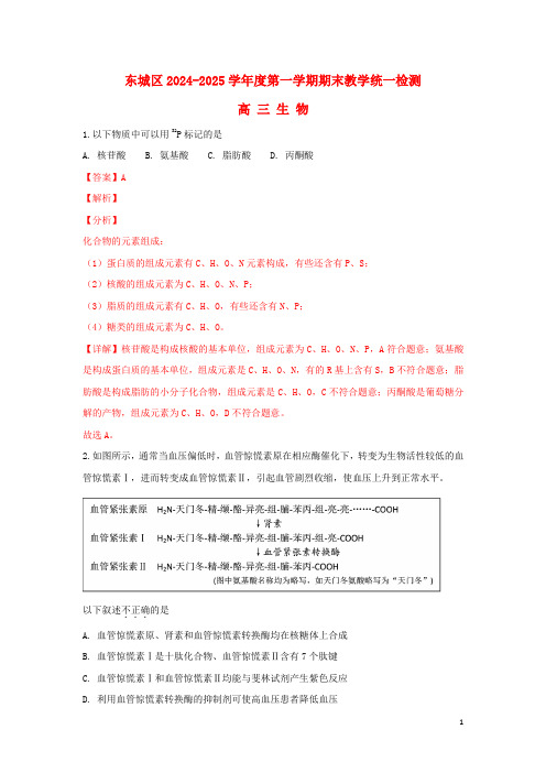 北京市东城区2025届高三生物上学期期末考试试卷含解析