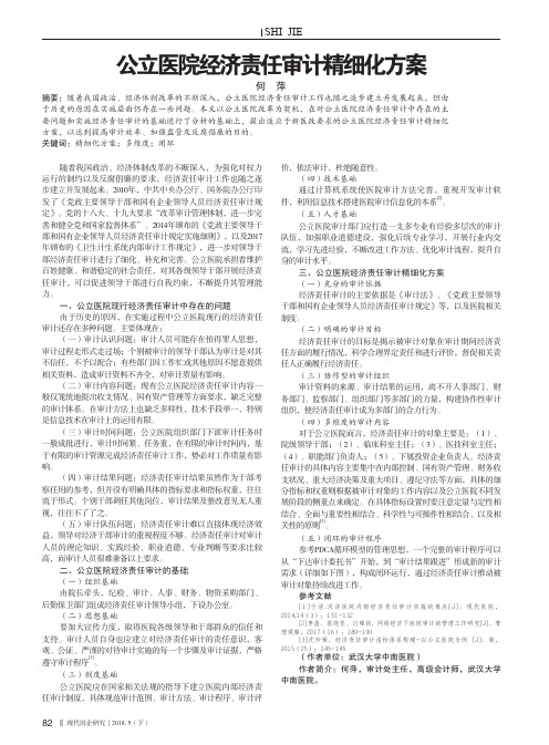 公立医院经济责任审计精细化方案