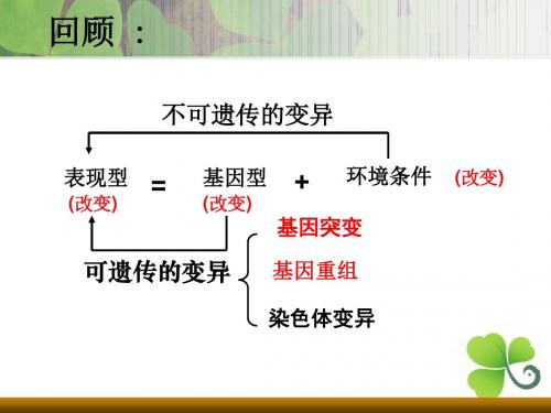 人教版高中生物必修二第5章第1节基因突变和基因重组 课件(共21张PPT)