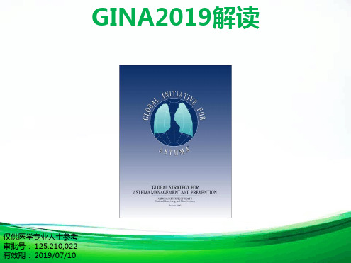 gina2014中文解读很精练很重点课件