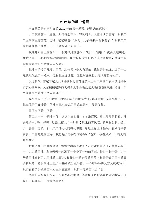 2012年的第一场雪_小学作文