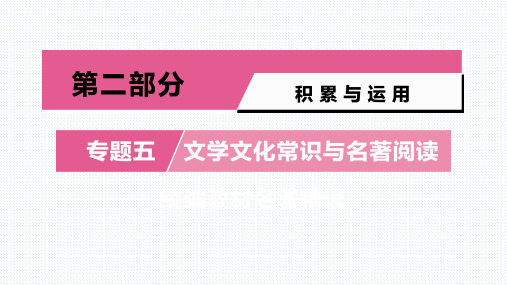 【精选】中考语文复习：专题5  统编教材名著精读 11、《水浒传》