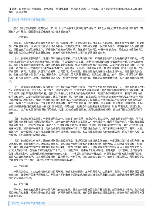 深化改革工作自查报告