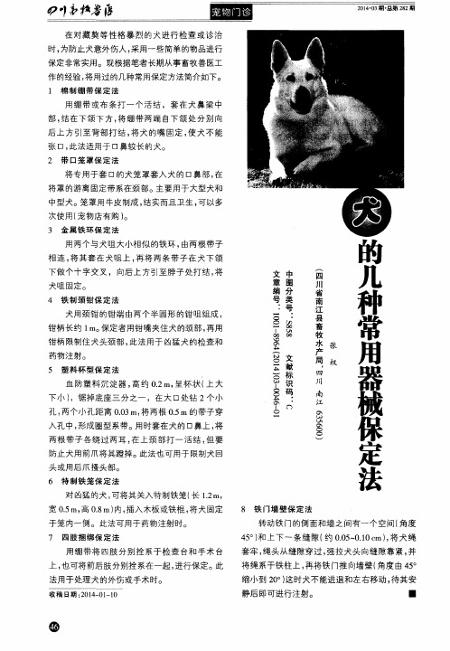 犬的几种常用器械保定法